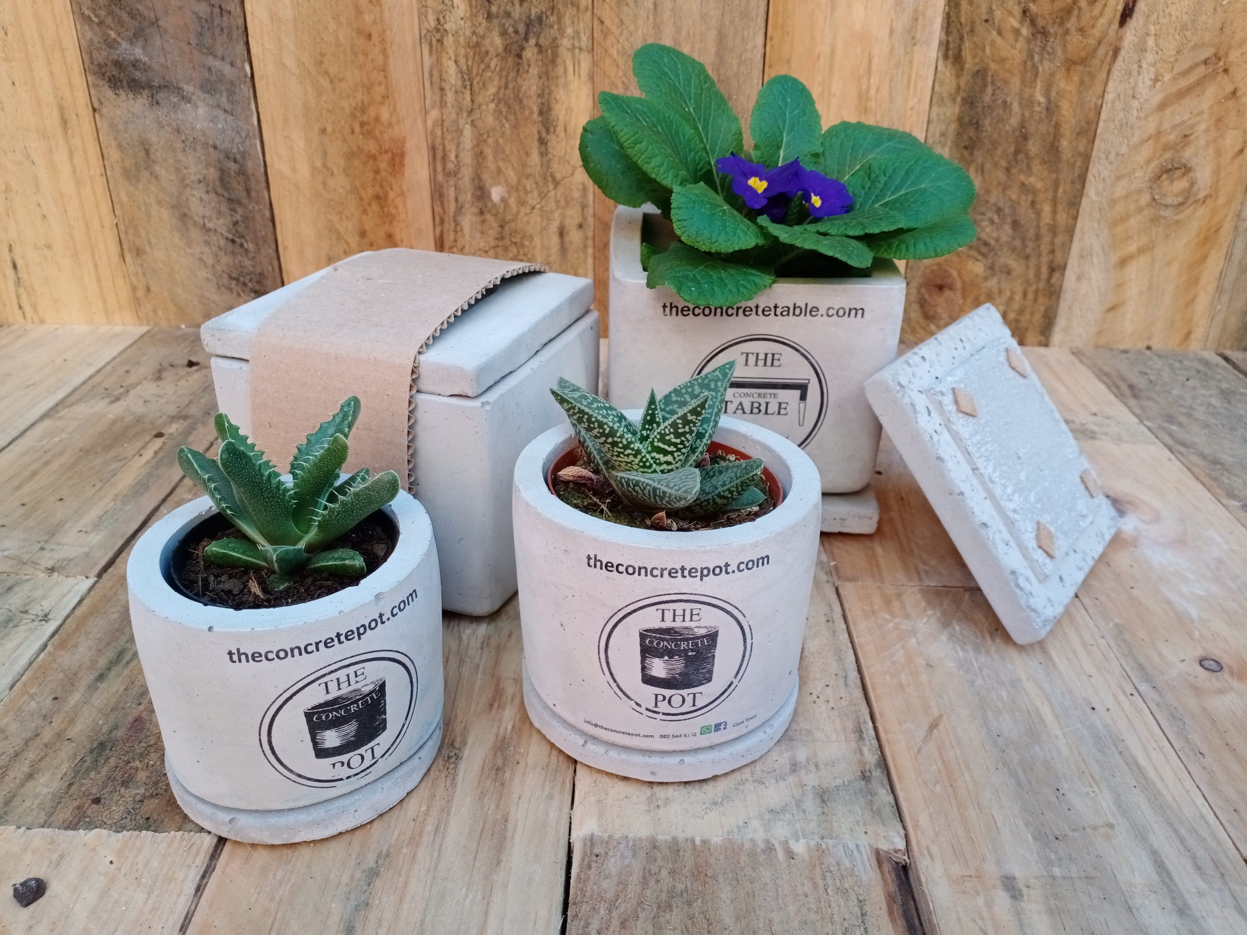 Custom Branding on a Concrete Pot - Image 4